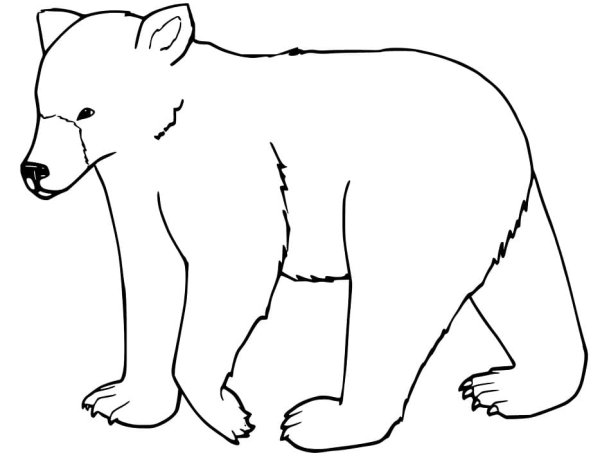Контур медведя сбоку