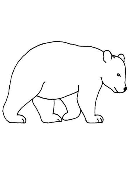 Медведь старшая группа