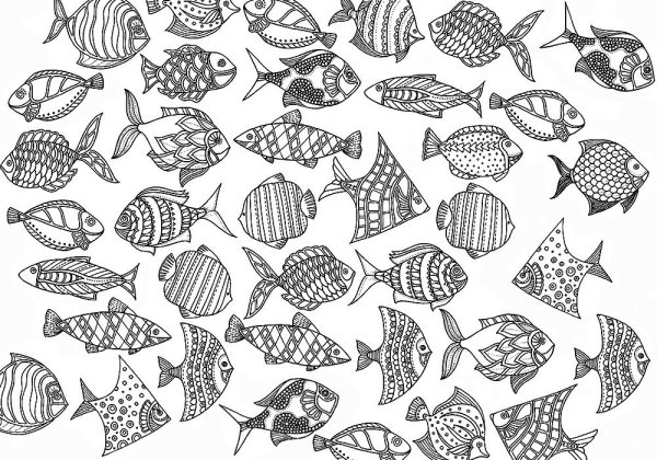 Раскраска рыбки много