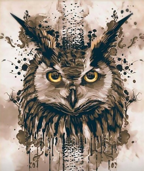 Сова арт