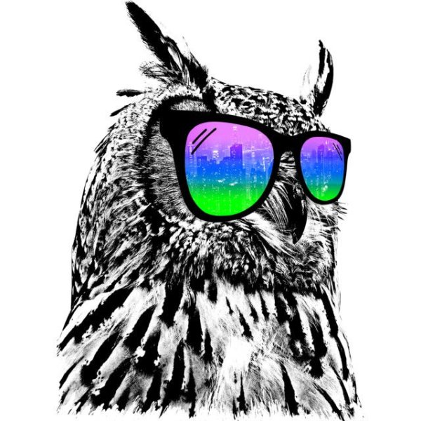 Филин в очках