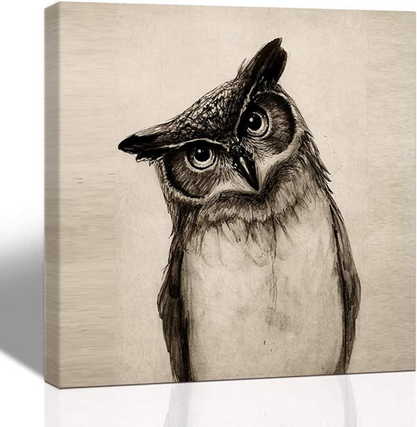 Зарисовки Совы