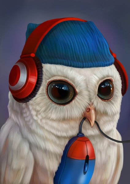 Саморядова Совы