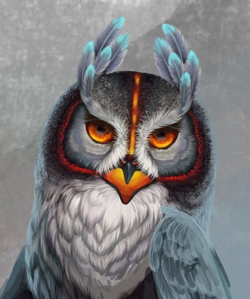 Сова на аву