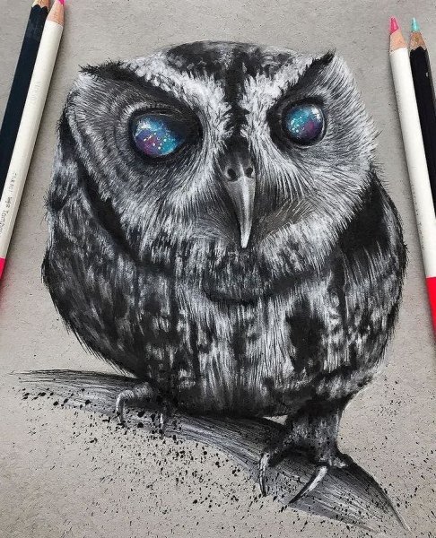 Глаза Совы тату эскиз