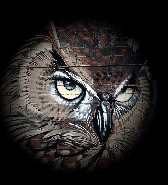 Руслан Филин Филин скул