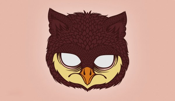 Сова в очках