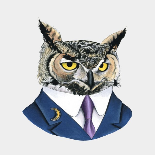 Сова тату эскиз