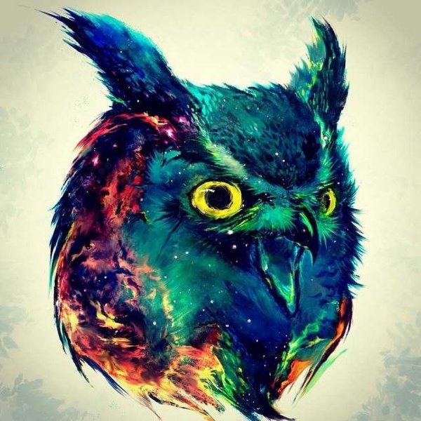 Сова в шапке ушанке