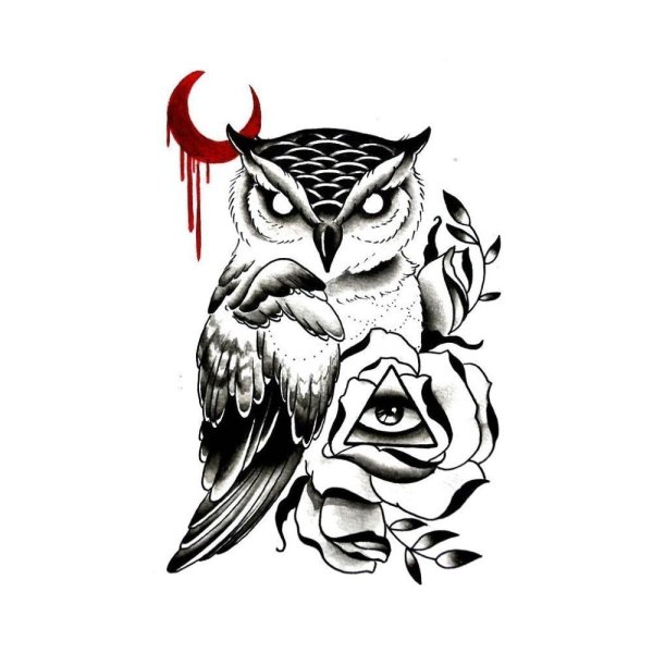 Сонная Сова