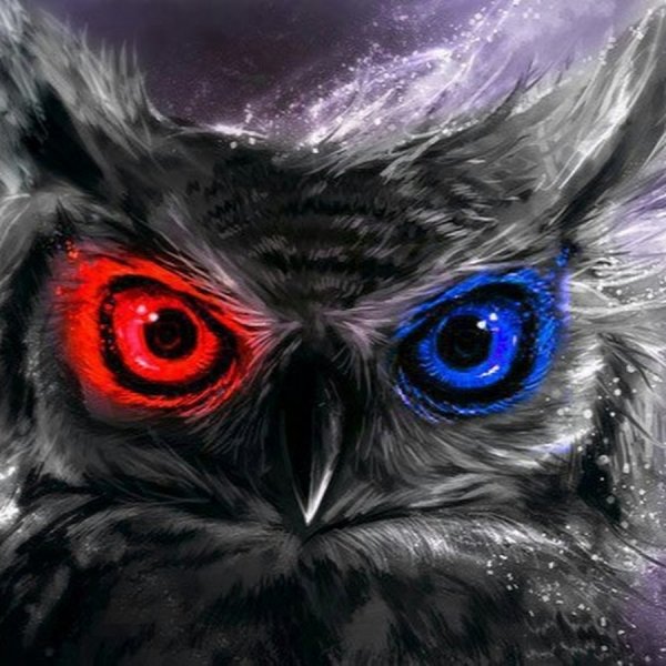 Annya Kai иллюстрации