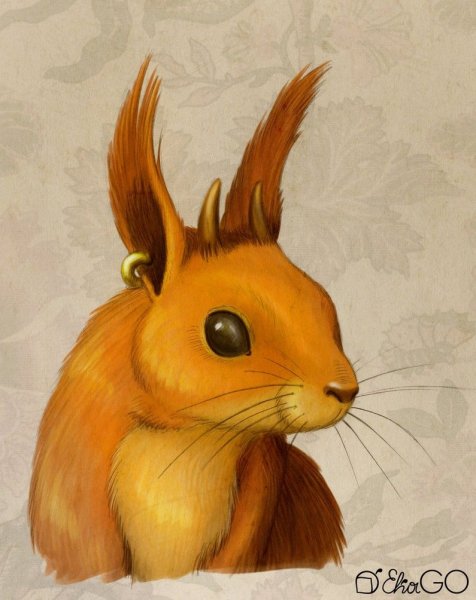 Желтая белка