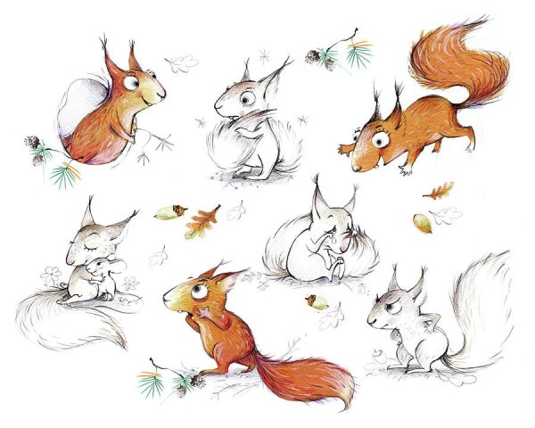 Белочка рисунок