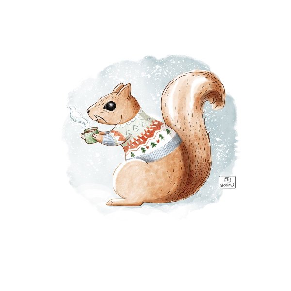 Прикольные белки рисунки