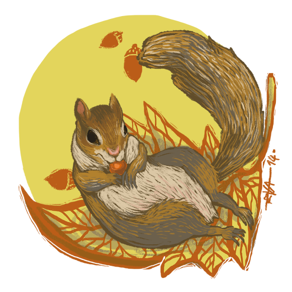 Белка с бельчатами