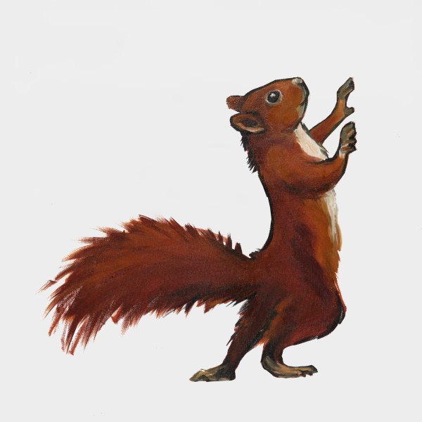 Злая белка арт