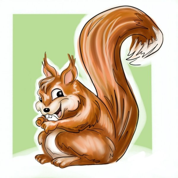 Белочка рисунок для детей