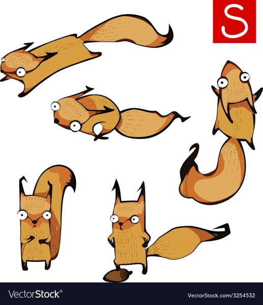 Прикольная белка рисунок