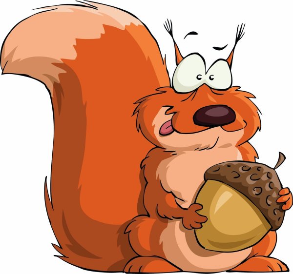 Белочка рисунок