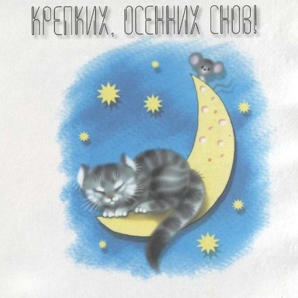 Чудесных снов с котиком