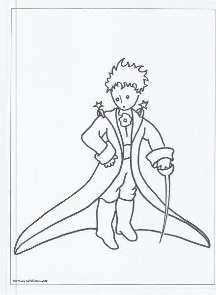 Маленький принц сидит