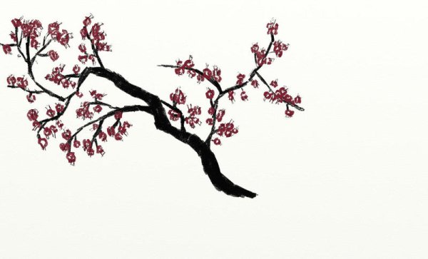 Дерево Сакура карандашом