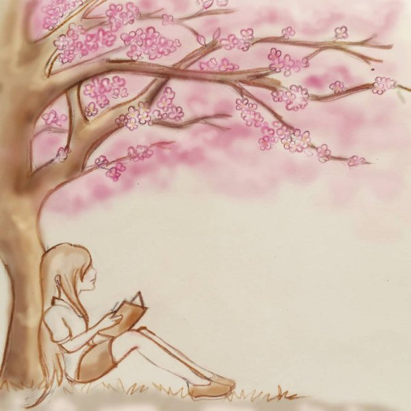 Референсы Сакуры дерево