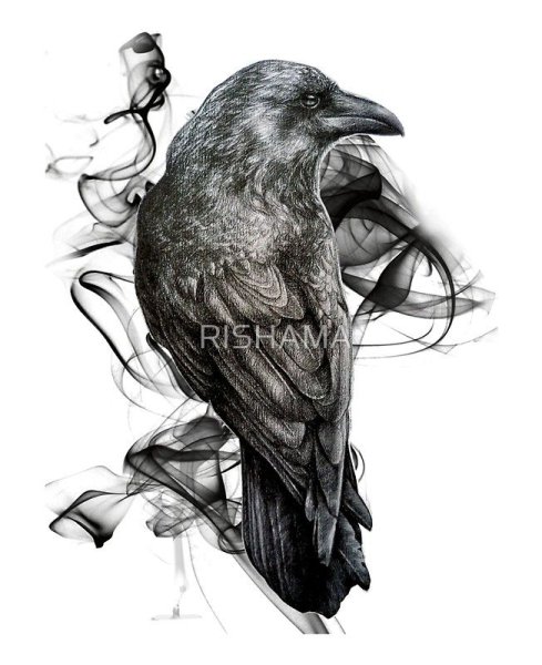 Эскиз тату ворон Хугин и Мунин