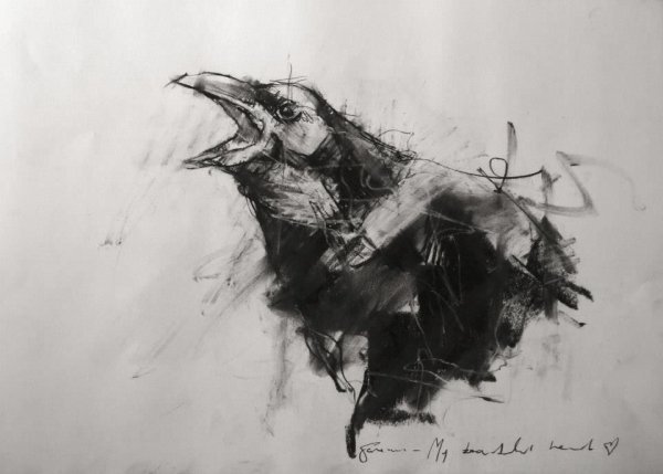 Птицы углем