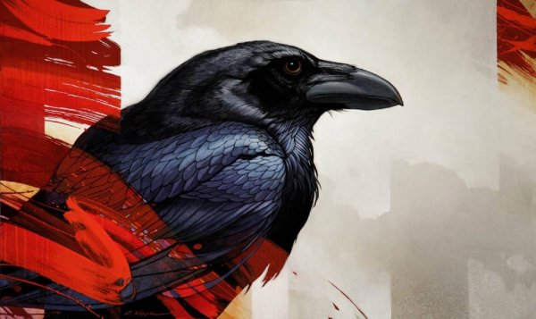 Craig Kosak вороны