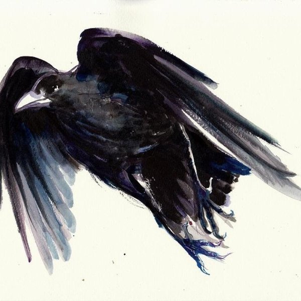 Сюнин ворон