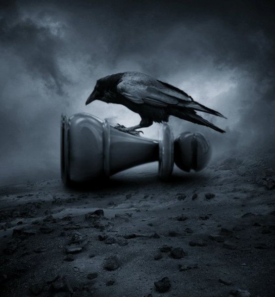 Ворона плачет