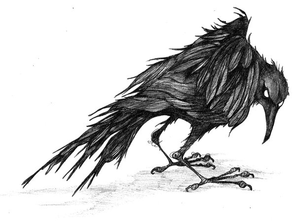 Тату ворон на белом фоне