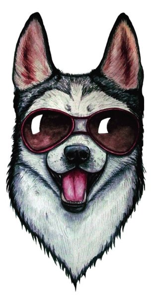 Фрилайн корги