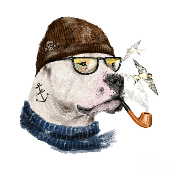 Собака хаски арт