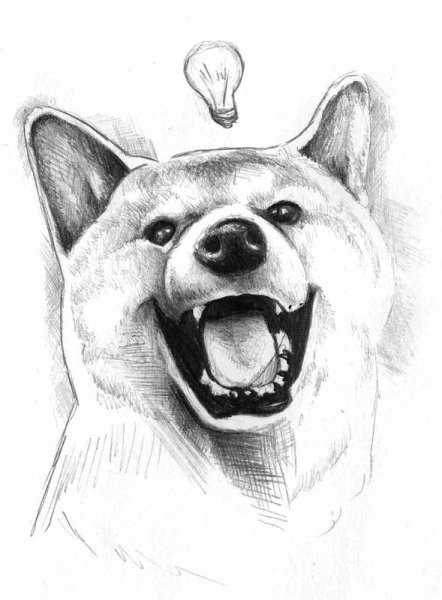 Питбуль простым карандашом