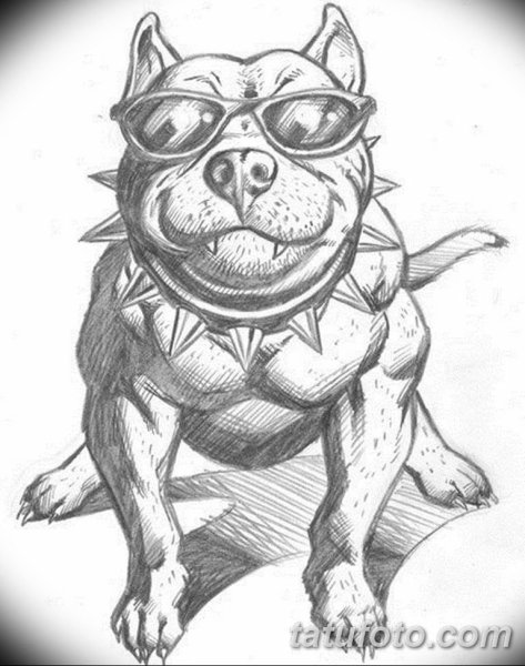 Собака в очках