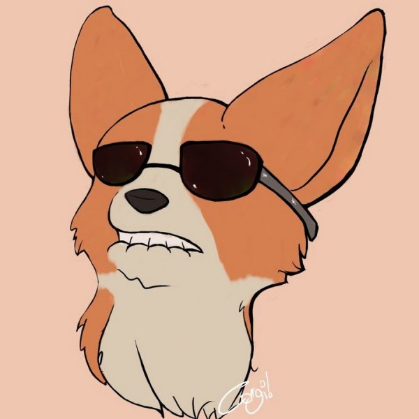 Рисунки собак фломастерами