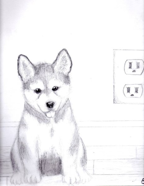 Нарисовать Хатико