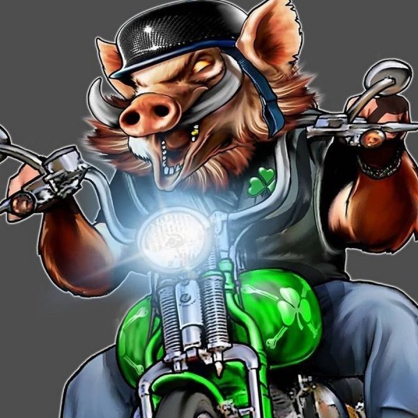 Мото карикатуры