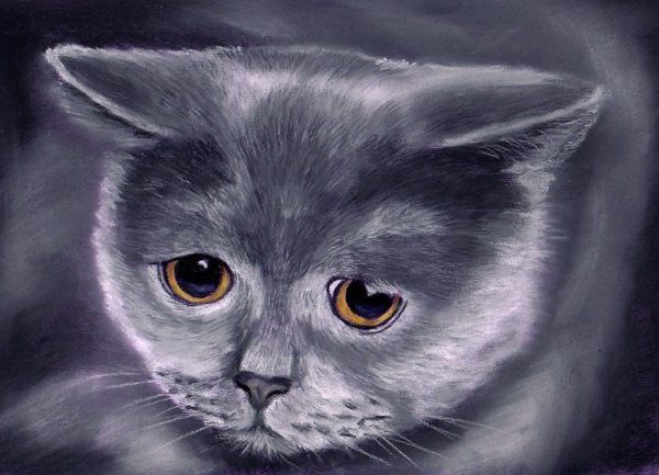 Грустный котенок мультяшный