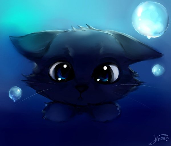 Котёнок рисунок карандашом