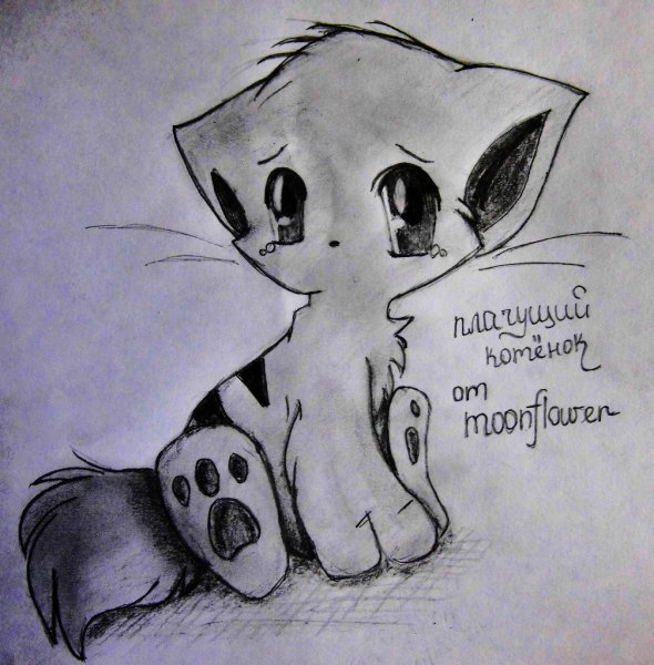 Грустные котики мультяшные