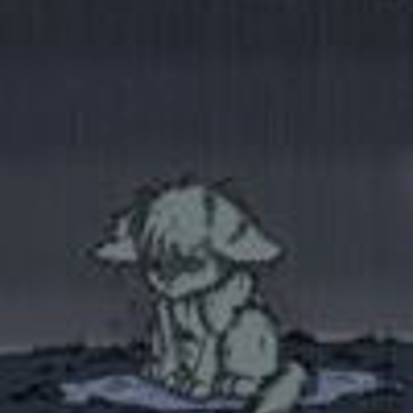 Картинки котят для срисовки