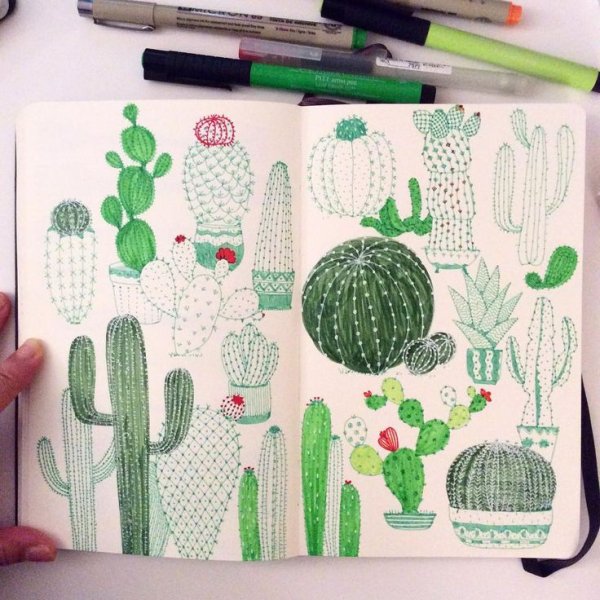 Рисунки для скуйч Букка