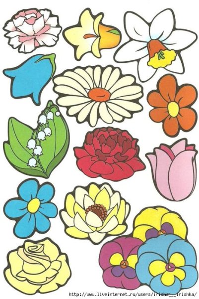 Цветные трафареты цветов
