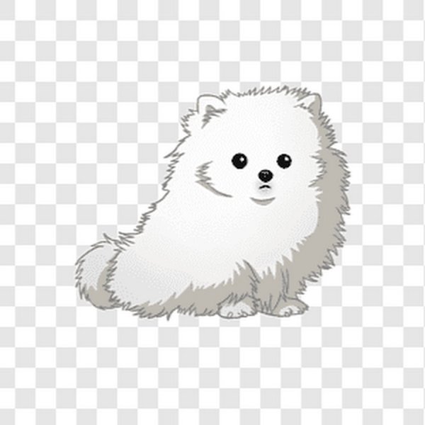 Померанский шпиц белый арт