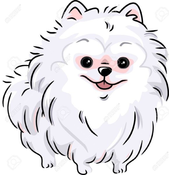 Шпиц трафарет