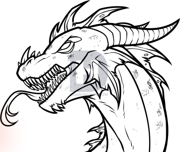 Рисунок дракона для срисовки