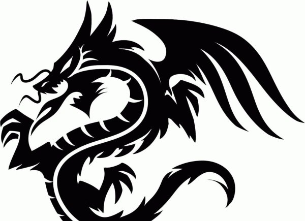 Дракон черно белый